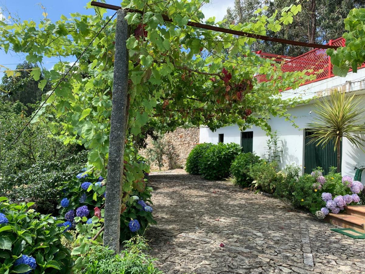 Vila Aurora Parada de Gatim 外观 照片